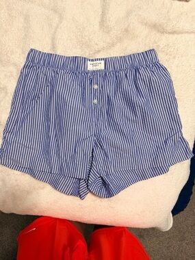 American Eagle Outfitters Blue & White Striped High-Waist Shorts